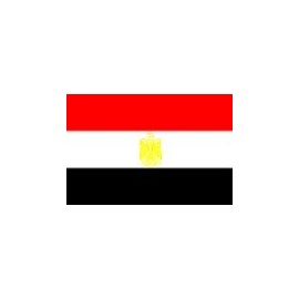 Egypt Flag, 2' x 3', Outdoor, Nylon