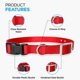 e Collar Replacement Strap - Dog Shock Collar Replacement Strap, Replacement Collar for Shock Collar Invisible Fence Collar Replacement, Compatible with Petsafe, Dogtra Compatible (1", Orange)