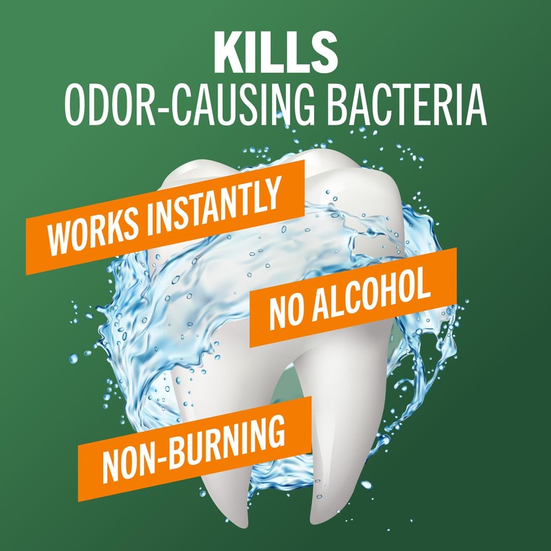 TheraBreath Fresh Breath Mouthwash, Rainforest Mint, Alcohol-Free, 16 Fl Oz