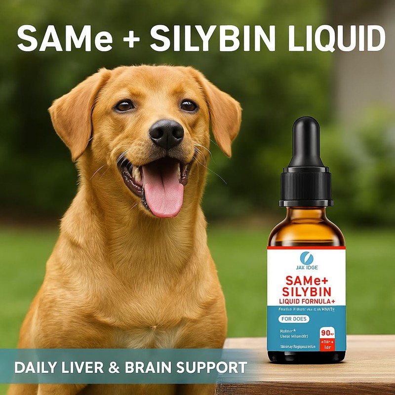 SAMEe for Dogs 500mg Liquid Drops with Silybin – Bacon