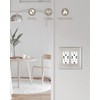 ZILLSEA 2-Pack Double Decorator Wall Plate, Satin Nickel Eletrical Outlet