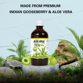 Basic Ayurveda Gooseberry Aloe Vera Juice Mix | First Pressed Amla & Aloe Herbal Detox Drink | No Added Sugar | Rich in Vitamin C | Supports Immunity, Skin & Digestion | 960ml (32.46 Fl Oz)