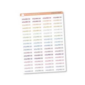 Assignment Due Label Planner Stickers, Script "Assignment Due" Labels, Colored Planner Stickers | F1 - Muted Rainbow | S-588-M