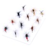 ANCLLO Pack of 12 Top Rated Dry/Nymph/Streamer Fly Fishing Fly