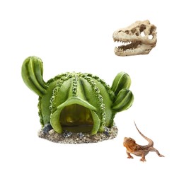 AWXZOM Reptile hideouts Come with Dinosaur Skull Hideout, Resin Cactus Desert Aquarium Tank Habitat Accessories for Bearded Dragon Chameleon Leopard Gecko Snake Fish (Ball Cactus)