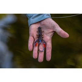 Berkley Ned Fishing Pack Contains Everything You Need for Ned Style Bass Pike or Zander Fishing Tungsten Weights and Pulsating Realistic Baits Help You Catch More Fish