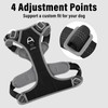 Plutus Pet No Pull Dog Harness, Release At Neck, Reflective