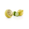 Eva Solo 5706631059657 567613 Citrus Juicer, 8 cm Diameter, Plastic,