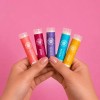 5 Pack Bálsamo Labial Dr. Akermans Frutas 4.5g Natural