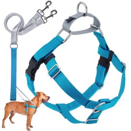 2 Hounds Design Freedom No Pull Dog Harness, Adjustable Harness and Leash Set, Easy Walking & Comfortable Control, Fits Small, Medium & Large Dogs, Solid Colors, Made in USA, 1" MD, Turquoise