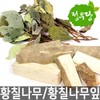 황칠나무 제주도 300g Jeju Island Yellow Camellia 300g