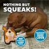 Outward Hound Invincibles Mini Puppy Plush Dog Toy