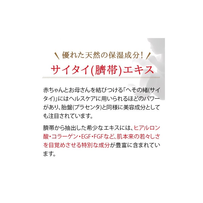 白酵スペチアーレクリーム 1個