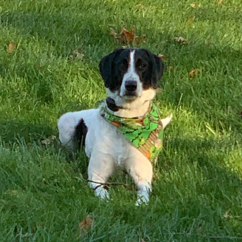 Logan Ventura Anodised Aluminium Shepherd Whistle with Leather Cord -