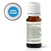 Plant Therapy Kids Quiet Cough Essential Oil Blend 10 mL