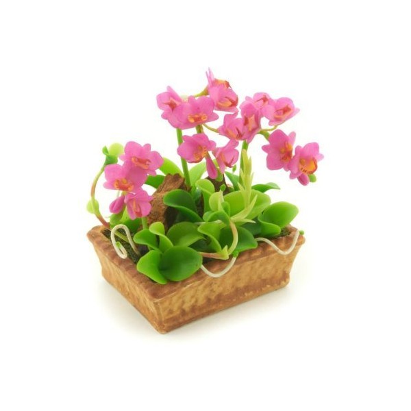 MyTinyWorld Dolls House Miniature Light Purple Cattleya Orchid Display