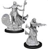 WizKids WK73830 D&D Nolzurs Marvelous Unpainted Miniatures: Wave 10: Female