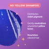 fanola no yellow shampoo für blondes haar 350 ml