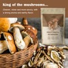 GRELIM Dried Porcini Mushrooms, New Season Sun Dried Wild Porcini