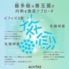 【高濃度 ロイテリ菌 480億個 x 22種の乳酸菌】生きた ロイテリ菌 サプリメント 30日分 ミント味 ALVITAS