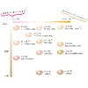 SANMIMORE FOUNDATION-R Sanmi Morei Cosmetics, New Foundation R12 No. Ochre