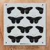 Stencil1 Butterfly Repeat Wallpaper Pattern Stencil 11" X 11" -