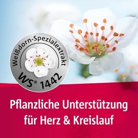 Crataegutt 450 mg Herz-Kreislauf-Tabletten | 100 Tabletten | Pflanzliches Arzneimittel zur Unterst√ºtzung der Herz Kreislauf Funktion | Wei√üdorn hochdosiert | St√§rkung f√ºr Herz und Kreislauf
