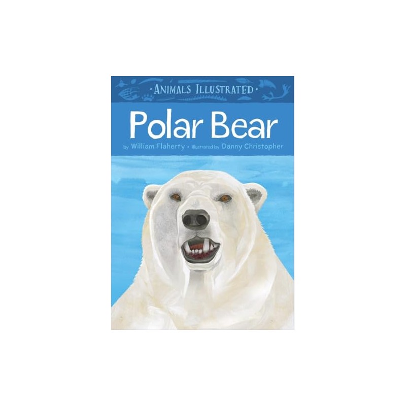 Animals Illustrated: Polar Bear