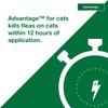 Advantage Topical Cat Flea Treatment and Prevention for Large Cats