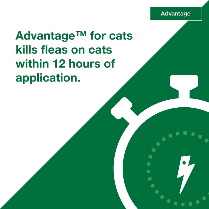 Advantage Topical Cat Flea Treatment and Prevention for Large Cats