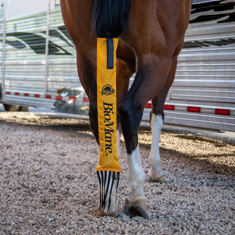 Tailbag - Color: Green