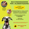 ADEMA NATURAL® Wormilex – Trattamento per vermi per cani –