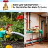 Boltigen 1’’ NPT Brass Gate Valve, 200 WOG Manual Rotary