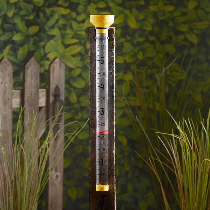 Taylor Capacity Jumbo Rain Gauge, Measure and Monitor Precipitation, Easy