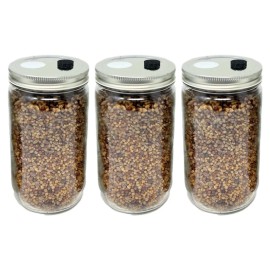 Myco Labs Premium 5-Grain Mushroom Quick Colonizing 32oz 5-Grain Spawn Jars (3-Pack)