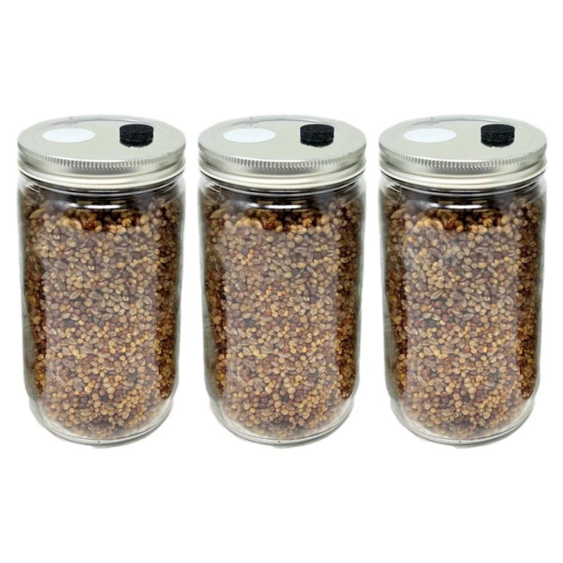 Myco Labs Premium 5-Grain Mushroom Quick Colonizing 32oz 5-Grain Spawn