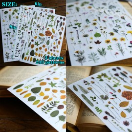 CATaireen Rub on Transfers for Crafts Vintage Scrapbooking Stickers Small Decals Adults Journaling DIY Supplies Use for Fabric Paper Wood Stone Canvas Acrylic Cloth (Dried Flower)