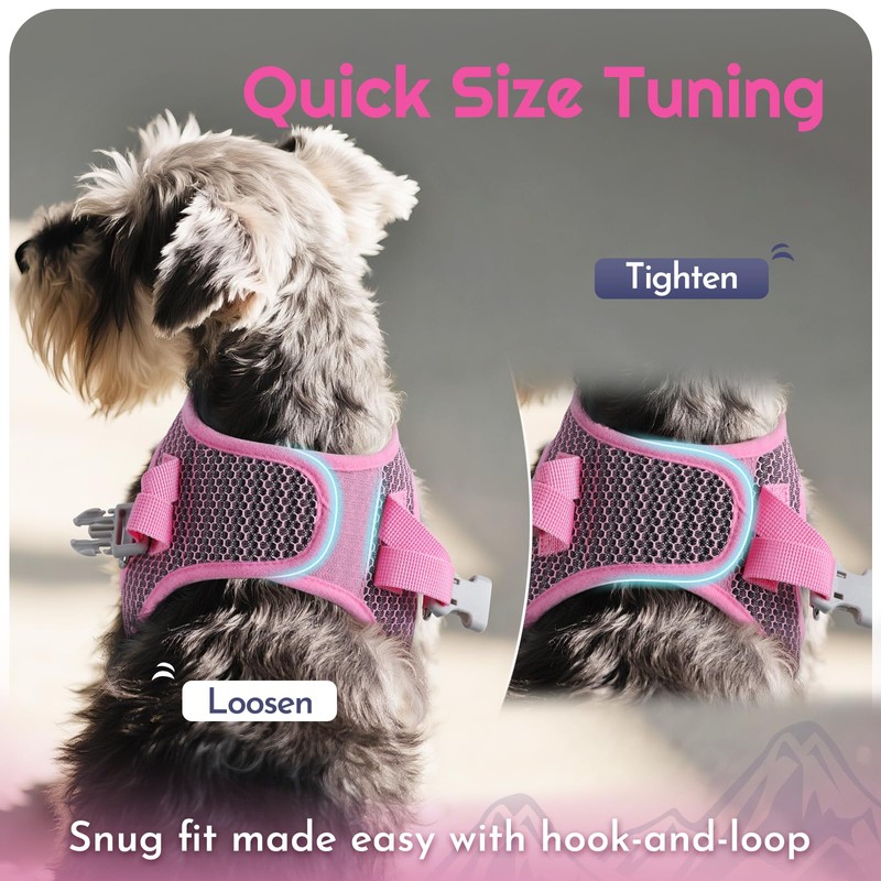 Eagloo Small Dog Harness and Leash Set, Step in Puppy