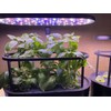 AeroGarden Bounty Trellis