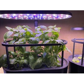 AeroGarden Bounty Trellis