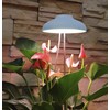 Northpoint LED 7 W Plant Light Plant Lamp Plant Lighting
