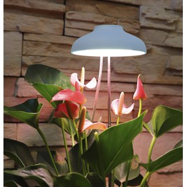 Northpoint LED 7 W Plant Light Plant Lamp Plant Lighting 70 cm Telescopic Rod White Light Colour Timer Function Blue