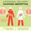 WELL ACTUALLY Liposomal Vitamin B Complex High Strength and Bioavailability