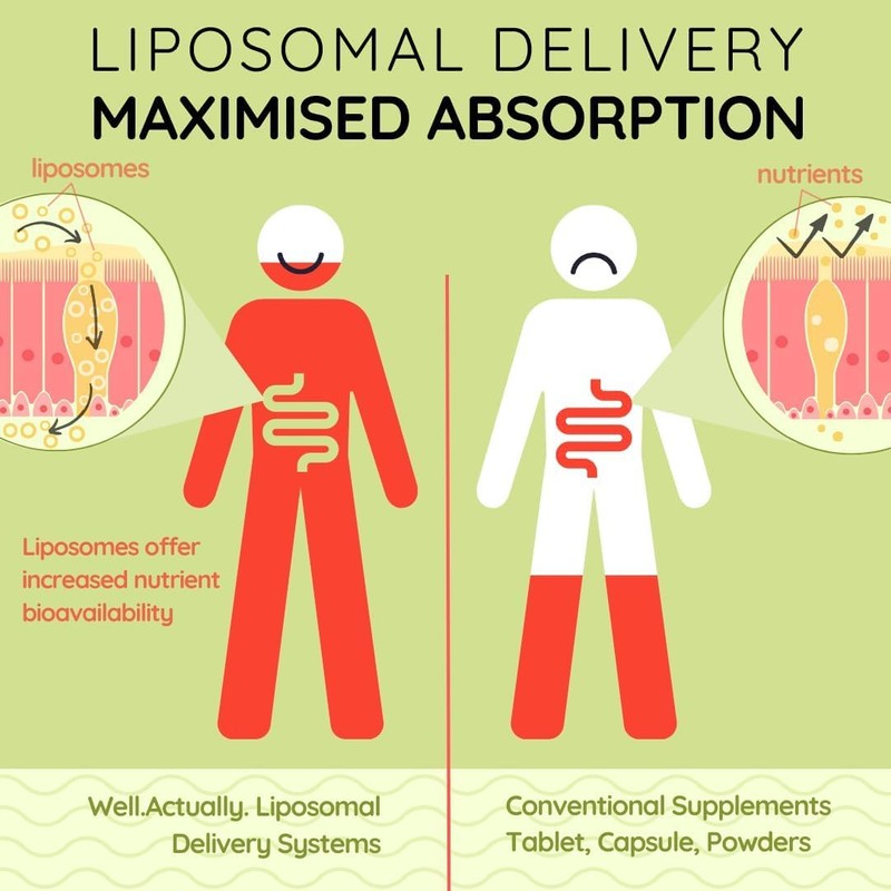 WELL ACTUALLY Liposomal Vitamin B Complex High Strength and Bioavailability