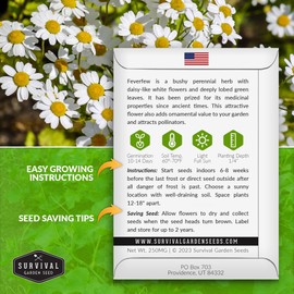 Feverfew Seeds for Planting - 2 Packets with Instructions to Plant and Grow Your Own Bachelor's Buttons in Your Home Vegetable or Herb Garden - Non-GMO Heirloom Variety - Survival Garden Seeds