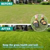 DenForste Lawn Aerator Shoes for Grass - Pre-Assembled Grass Aerator