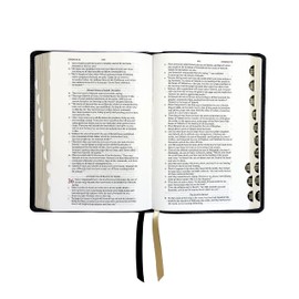 Legacy Standard Bible, Handy Size, Red Letter - Paste-Down Black Cowhide Indexed (LSB)