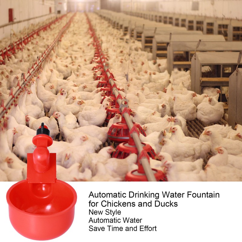 Automatic Chicken Waterer Hanging Water Cups for Quail Pigeon Duck
