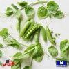 Maxboba Pea Seeds Snow Oregon Giant Non-GMO Heirloom - 96