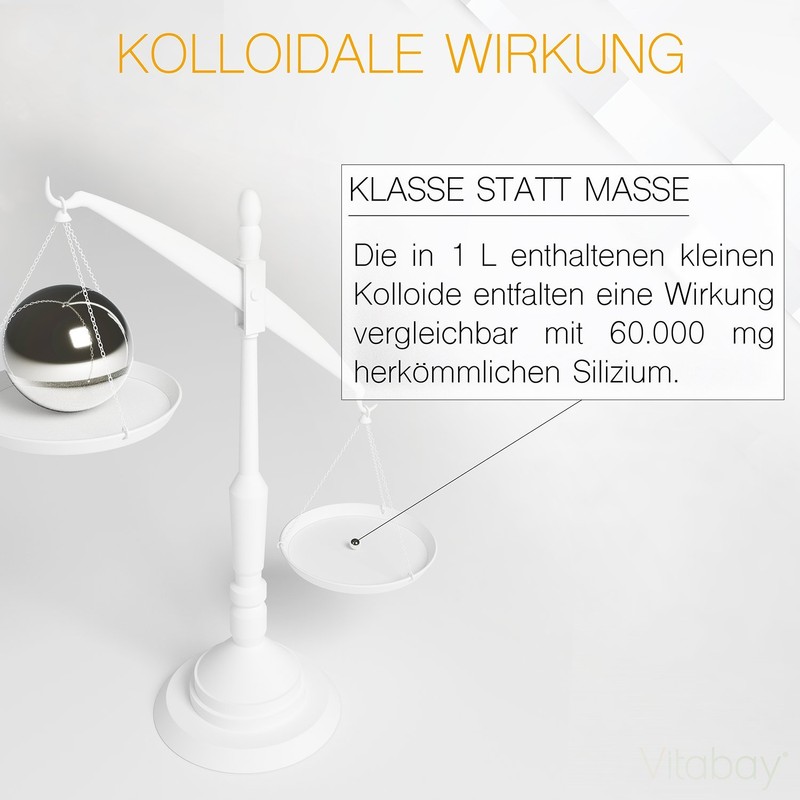Vitabay Kolloidales Silizium 50 PPM • 500 ml • Hochdosiert